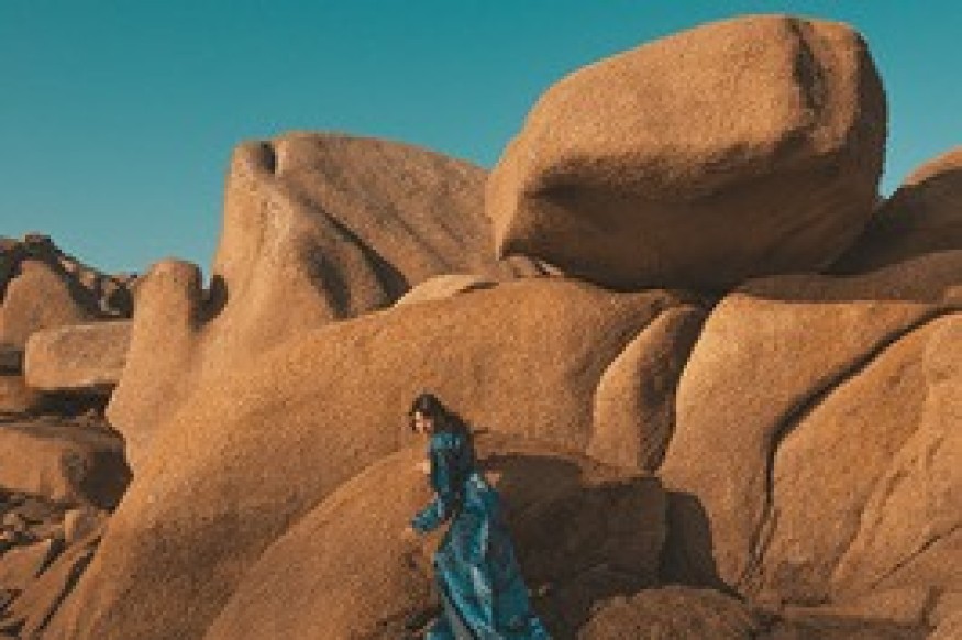 VAG MUIS - VICTORIA ALEXANYAN interview du 26 janvier 2026